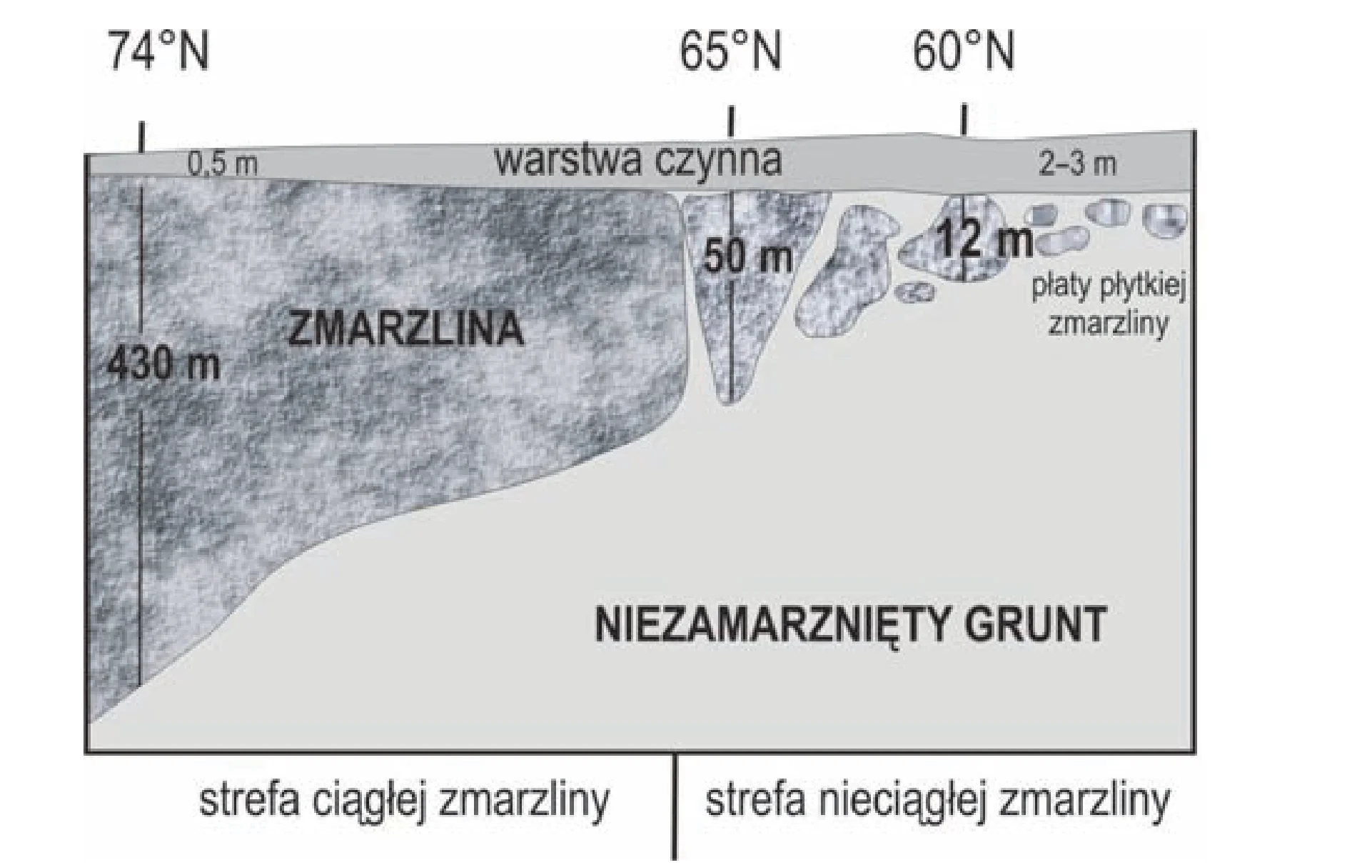 Przekrój wieloletniej zmarzliny, gdzie jej głębokość maleje od 430 metrów (przy 74 stopniach N) do 12 metrów (płaty przy 60 stopniach N). Nad zmarzliną jest warstwa czynna grubości od 0,5 metra do 2-3 metrów, wyznaczająca strefę ciągłej i nieciągłej zmarzliny.