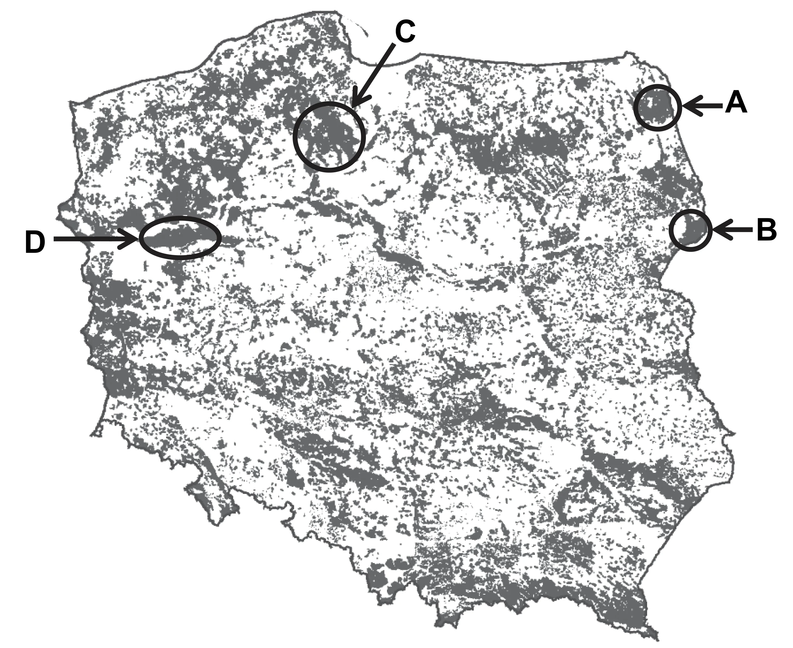 Rysunek 1 do zadania
