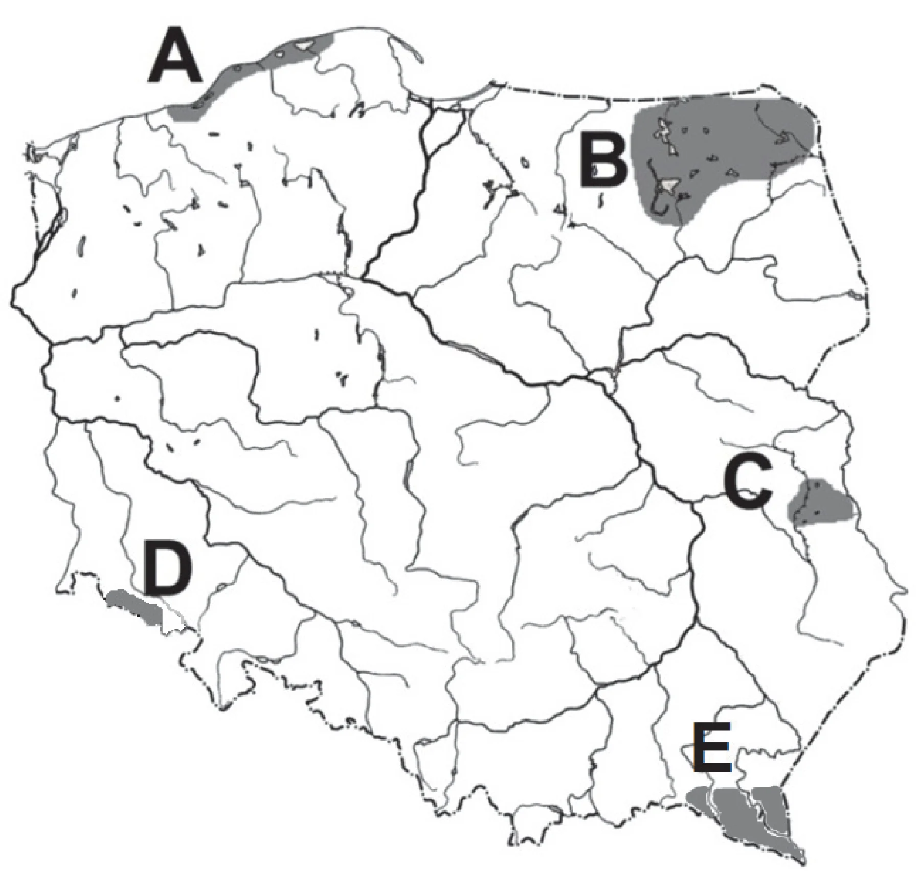 Rysunek 1 do zadania