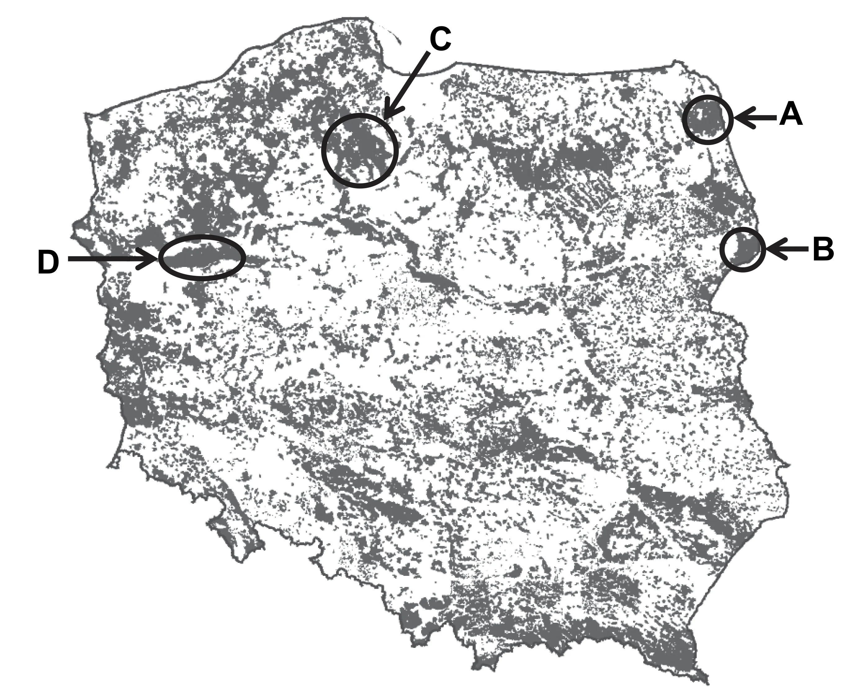 Rysunek 1 do zadania