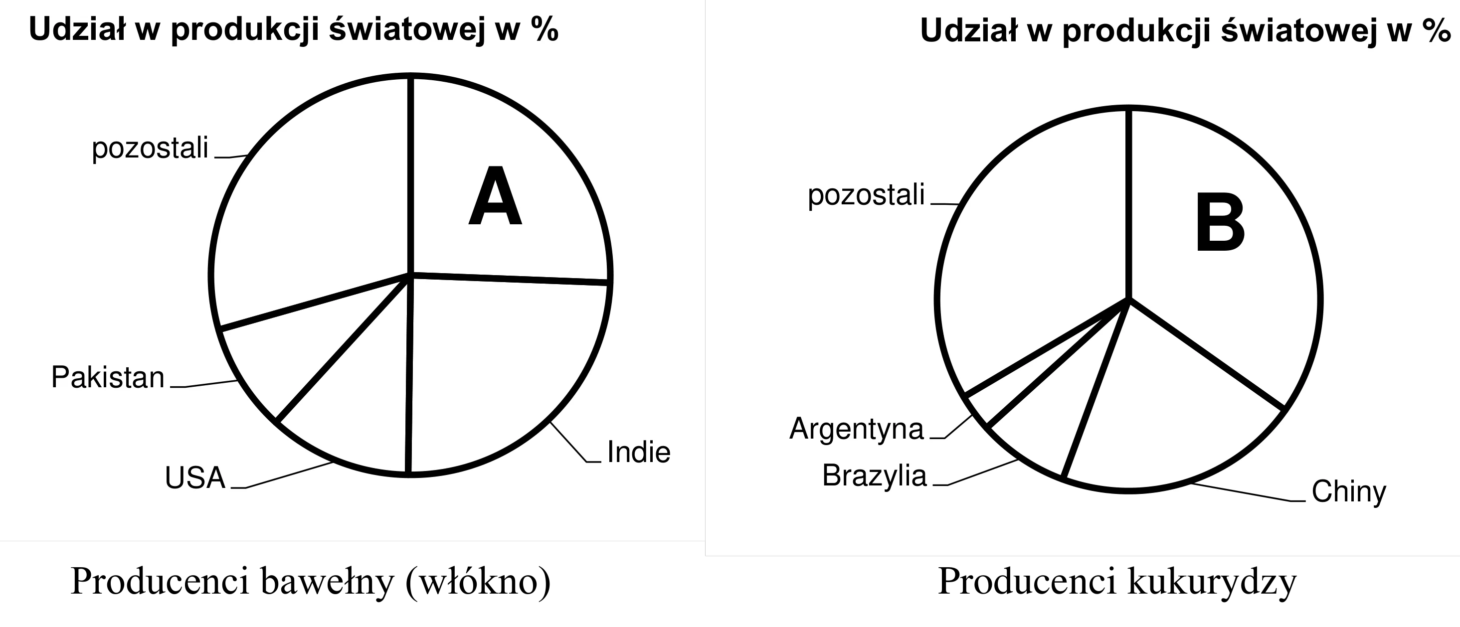 Rysunek 1 do zadania