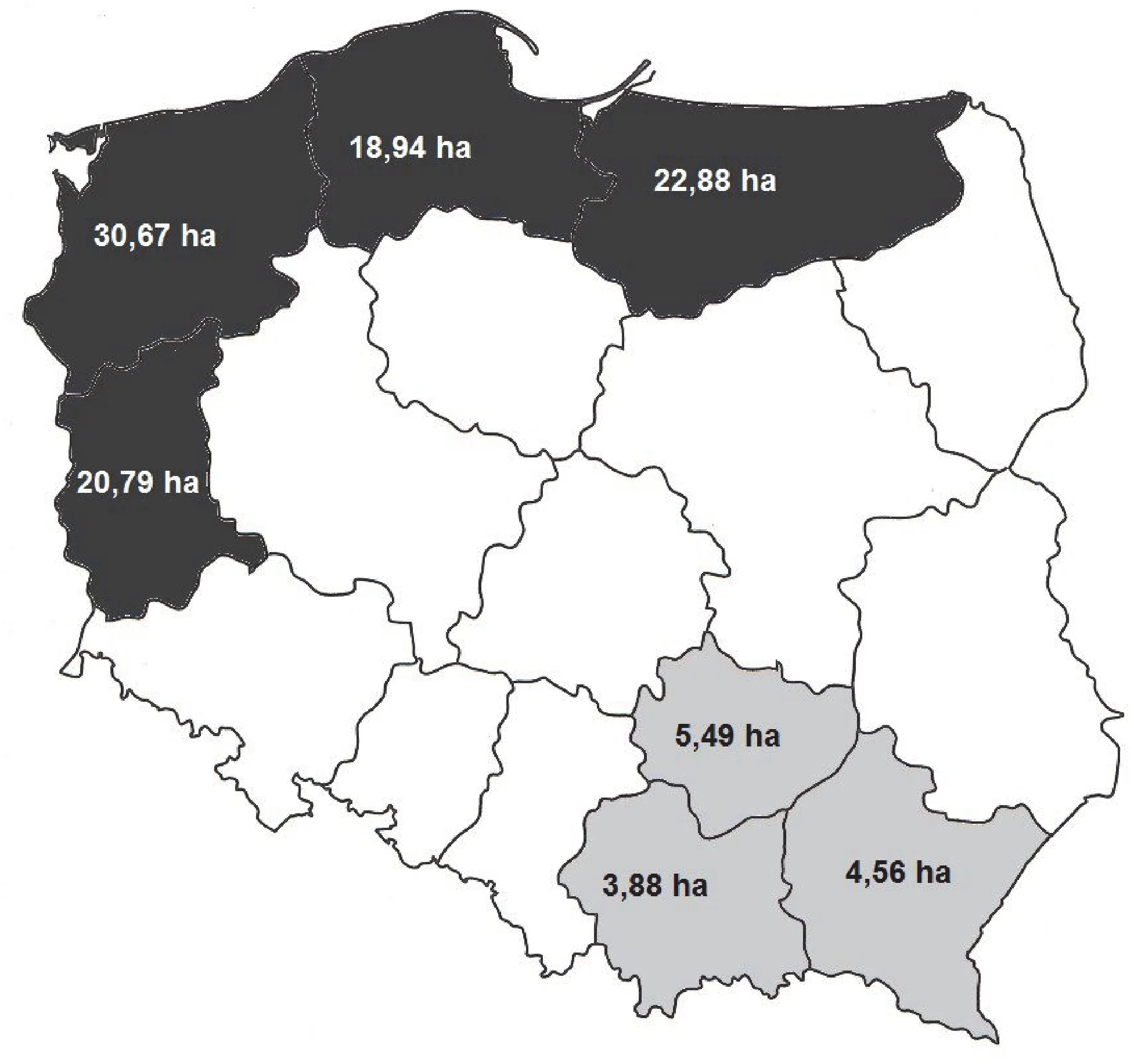Rysunek 1 do zadania