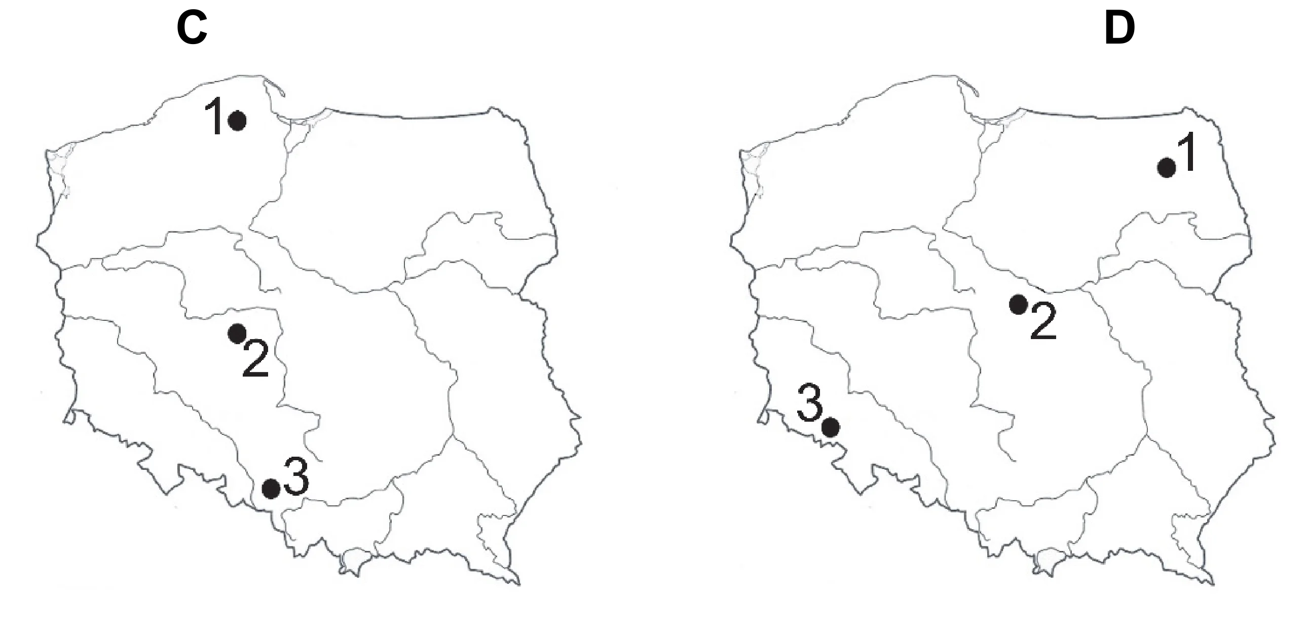 Rysunek 1 do zadania