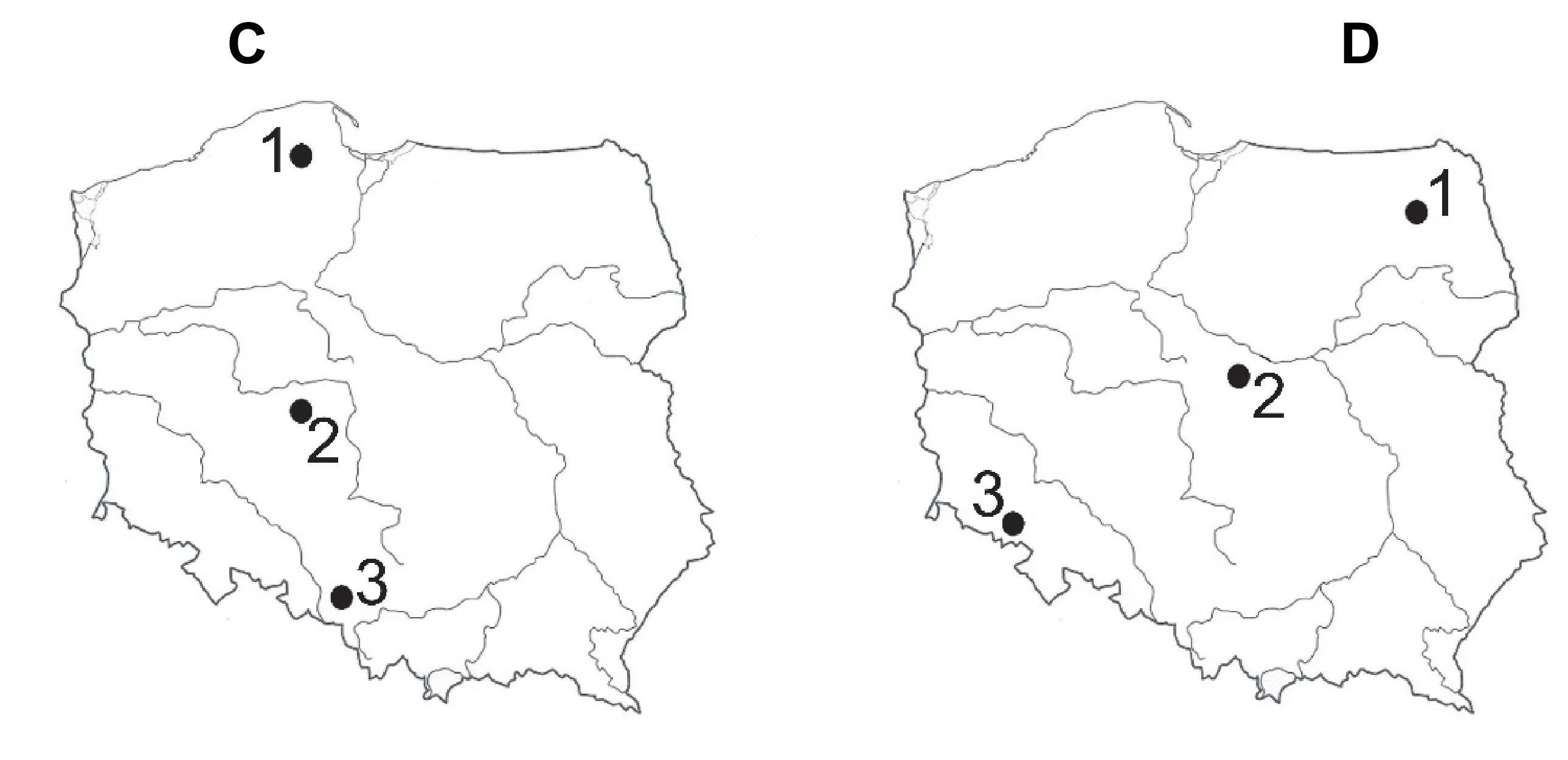 Rysunek 2 do zadania