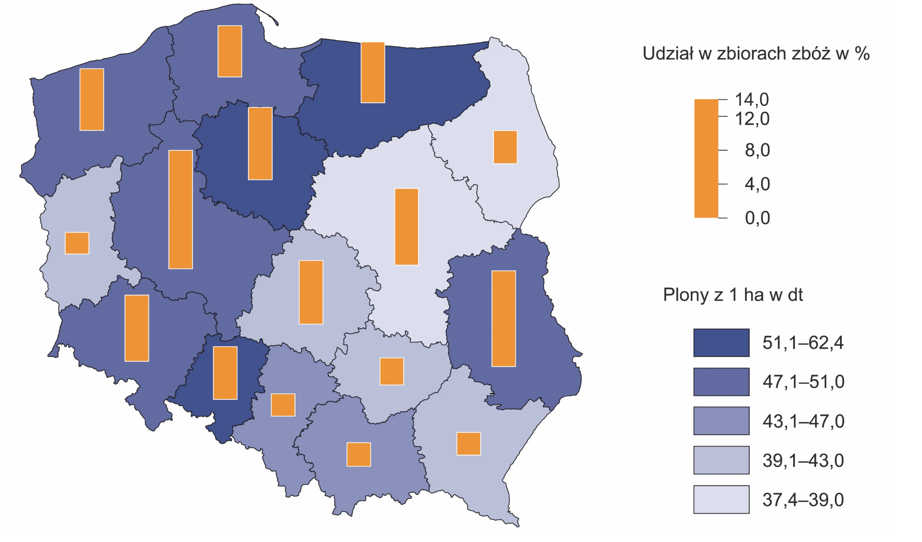 Mapa Polski przedstawia plony zbóż z 1 hektara w decytonach według województw (kolorystyka) oraz udział tych województw w krajowych zbiorach zbóż w procentach (pomarańczowe słupki) w 2022 roku.