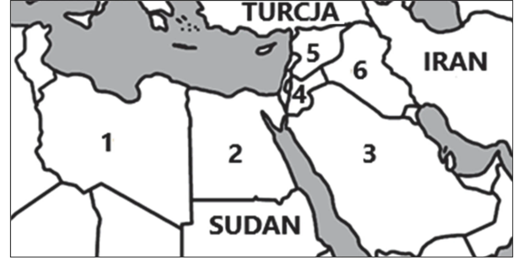 Fragment mapy politycznej Afryki Północnej i Bliskiego Wschodu, z sześcioma oznaczonymi numerami regionami od 1 do 6 oraz nazwanymi państwami: Turcja, Iran, Sudan.